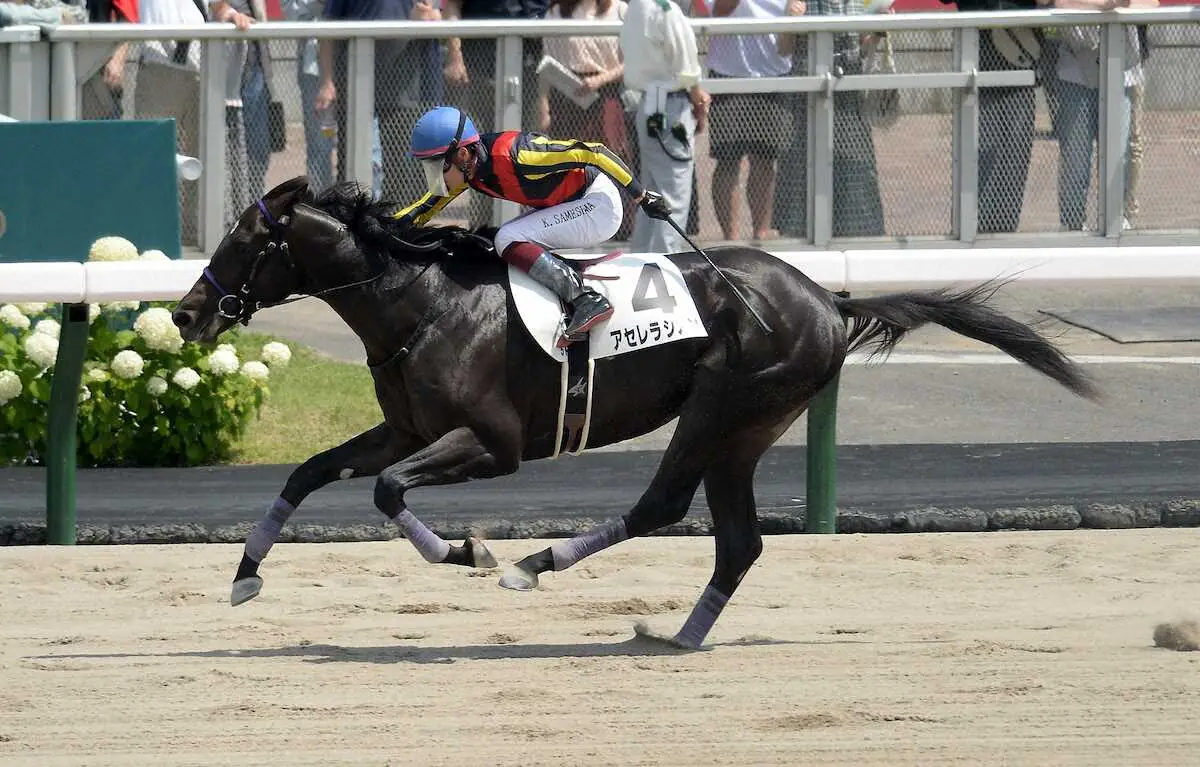 【札幌5R新馬】アセレラシオンがV　鮫島駿「いい経験ができました」
