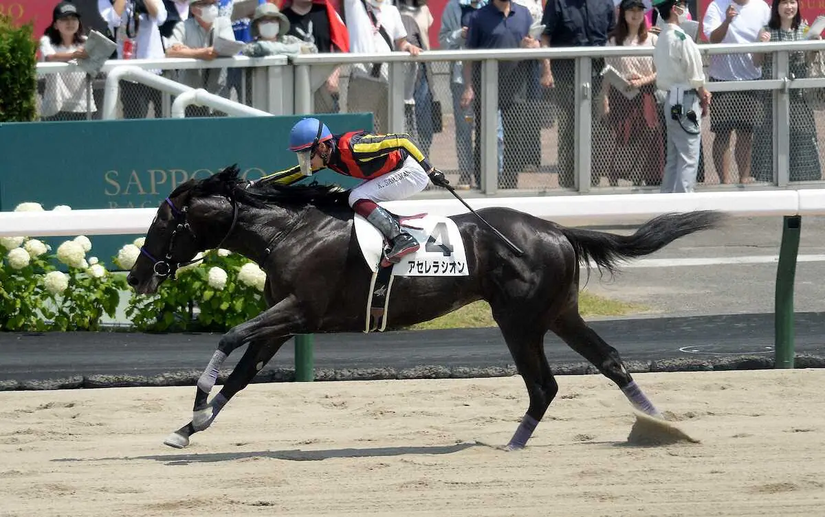 【札幌新馬戦】アセレラシオン　最速上がりで勝利！鮫島駿「いい経験ができました」