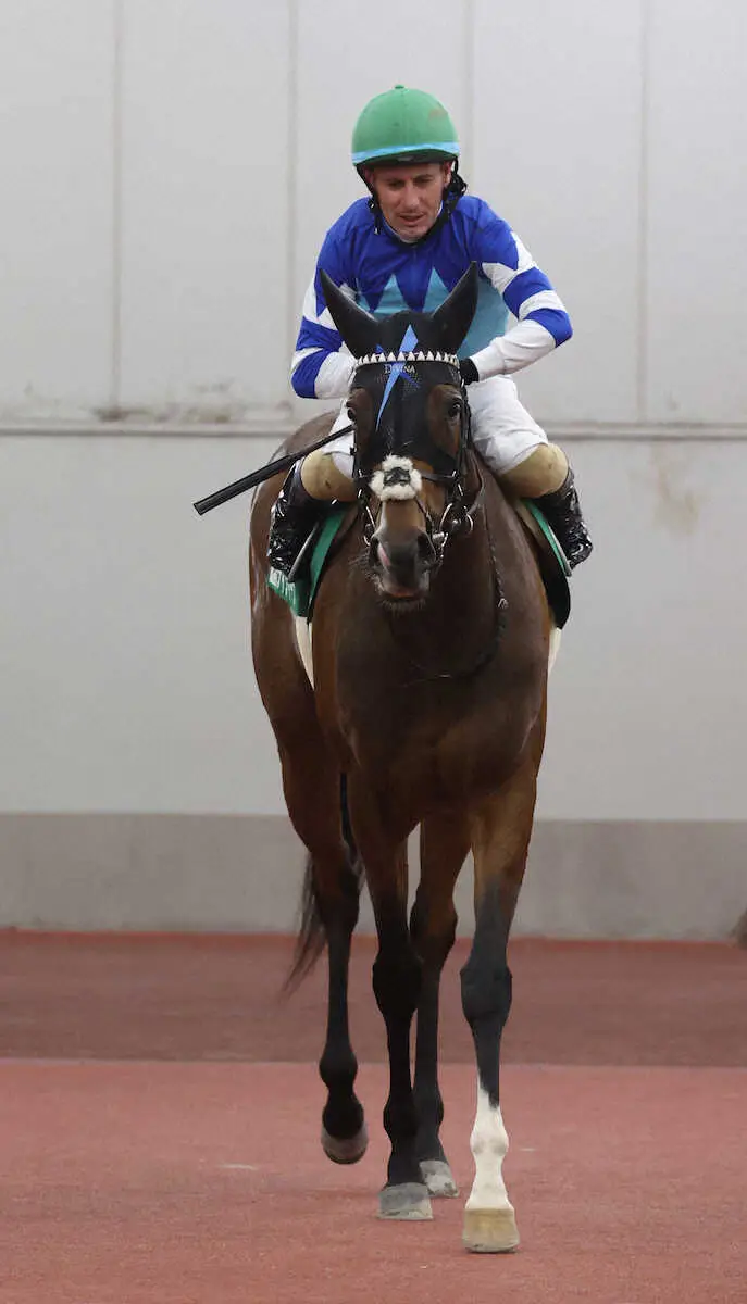 【中京記念】ディヴィーナ2着　M・デムーロ「良く伸びている」「勝った馬は楽だったね」