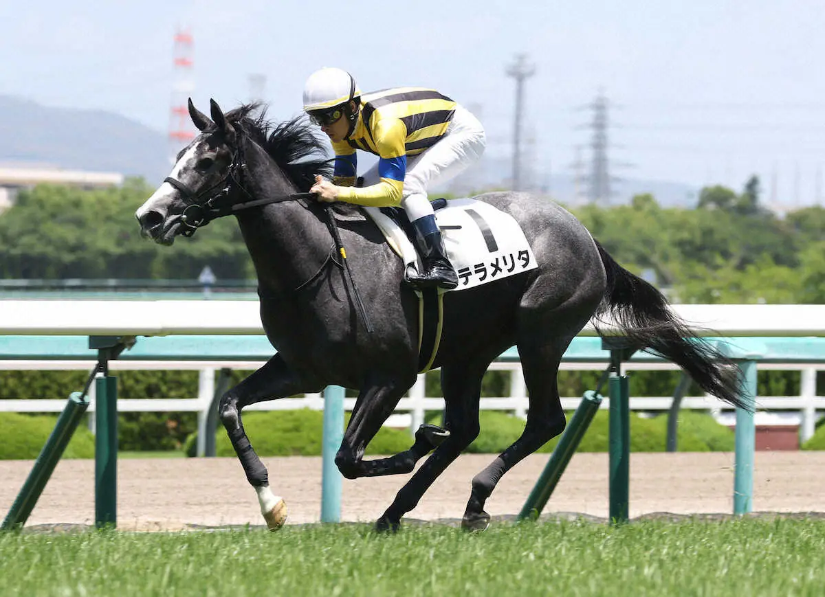 阪神マイルで新馬勝ちのテラメリタ、次走はクローバー賞を検討
