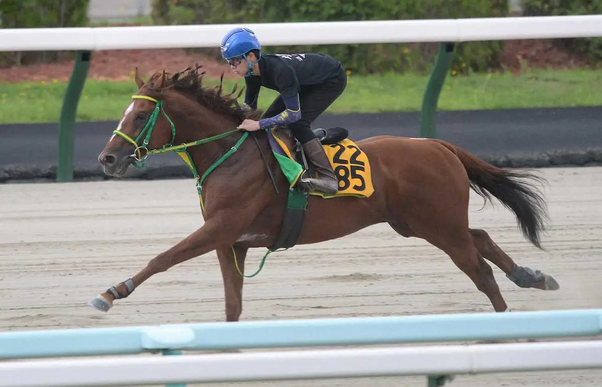 斎藤新　父・斎藤誠師が管理するワールドタキオンで目指せ初の父子重賞V