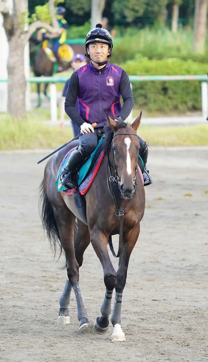 【新潟5R新馬】イクイノックス半妹ガルサブランカV　ルメール「走り方が軽いところが似ています」
