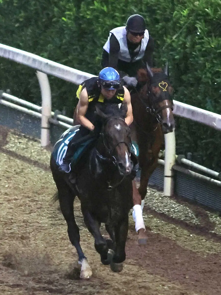 菱田裕二を背に坂路をワーフデール（右）と併せ馬で追い切るエンヤラヴフェイス