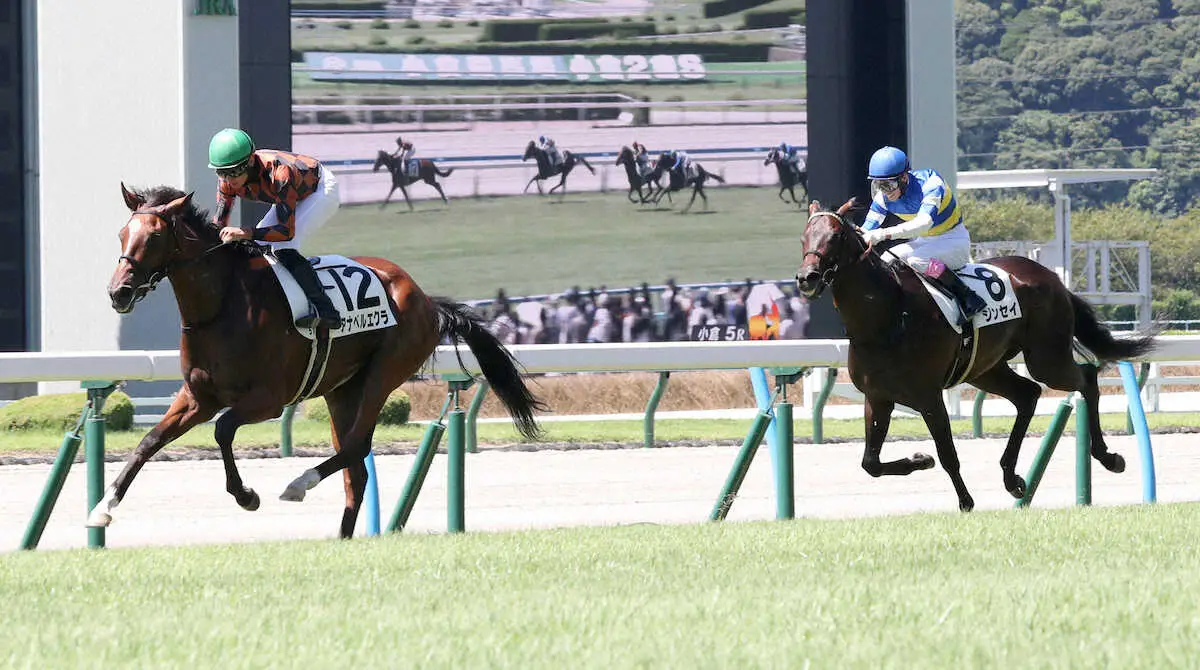 【小倉5R新馬】アナベルエクラ快勝　岩田望「いい勝ちっぷりでした」