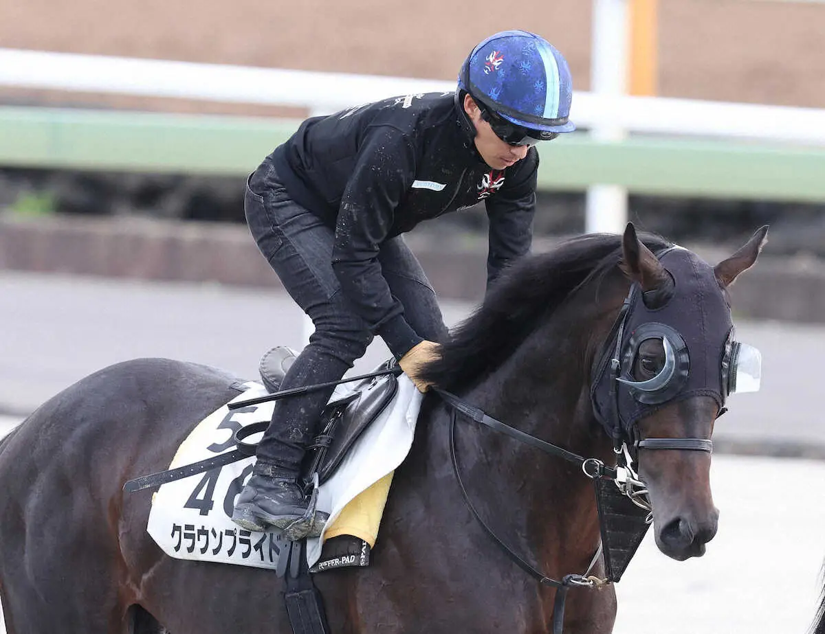 日本馬4頭出走の韓国国際競走、枠順が決定