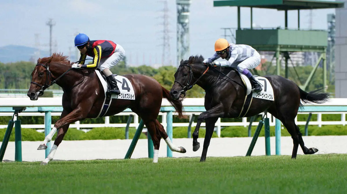 【阪神5R新馬】サークルオブジョイがV　北村友「全体的にいい競馬でした」