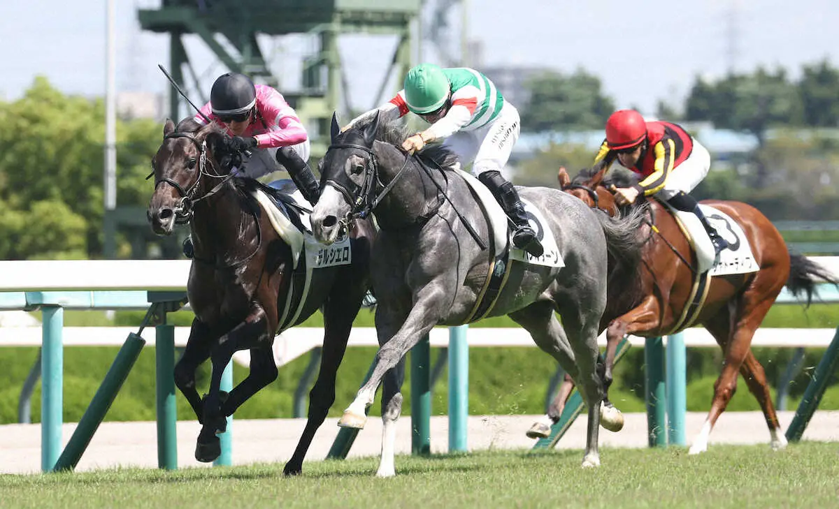 【阪神新馬戦】5番人気デルシエロ　壮絶叩き合い制した！清水久師「いい根性」