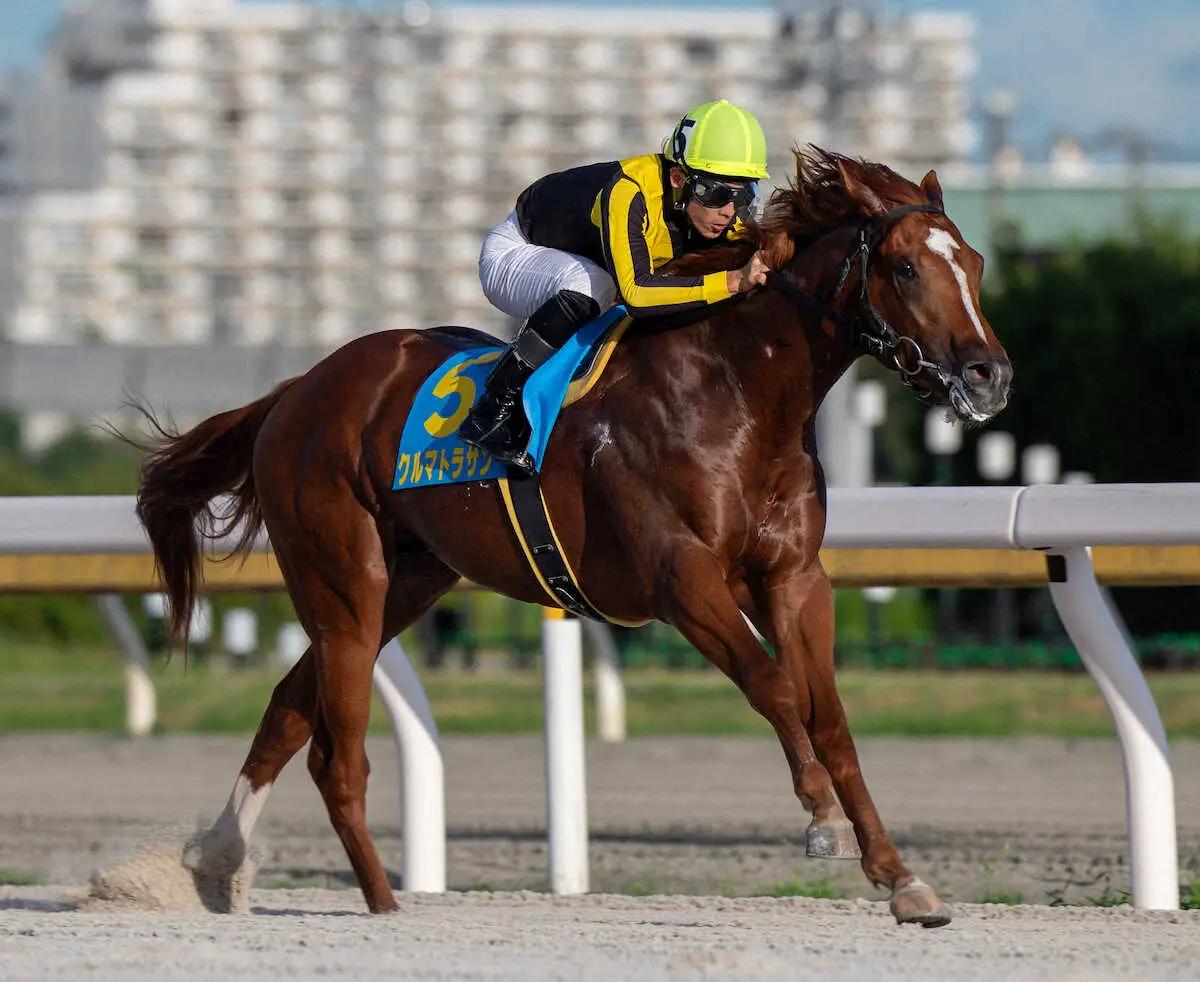 【画像・写真】連勝で重賞制覇を狙うクルマトラサン