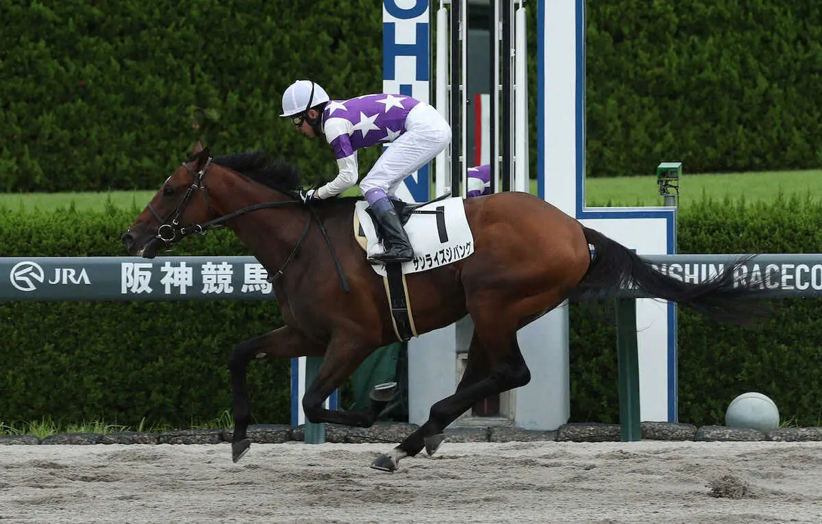 【画像・写真】【阪神1R】武豊サンライズジパングが4馬身差完勝　キズナ産駒