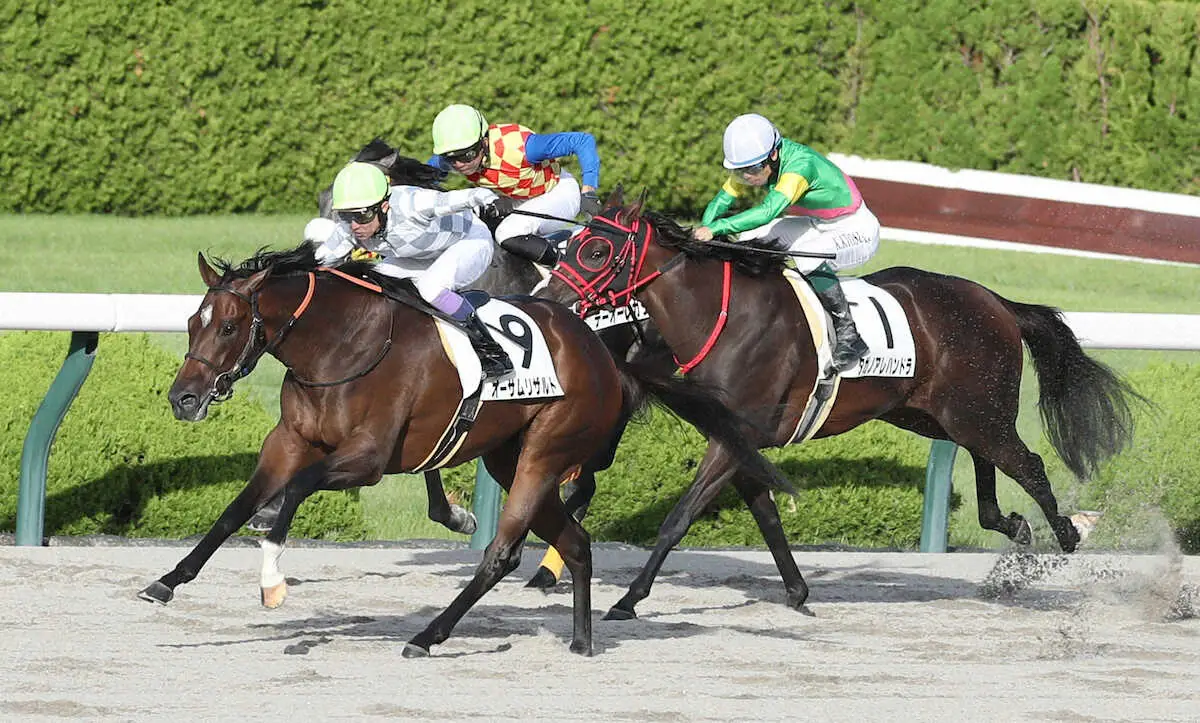 【画像・写真】【阪神12R】武豊「キツい競馬」もオーサムリザルト無傷3連勝！「力でねじ伏せてくれました」