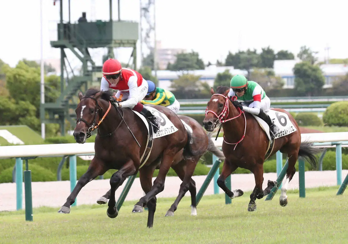 ＜阪神5R＞新馬戦を快勝するショウナンラプンタ（左）（撮影・平嶋　理子）