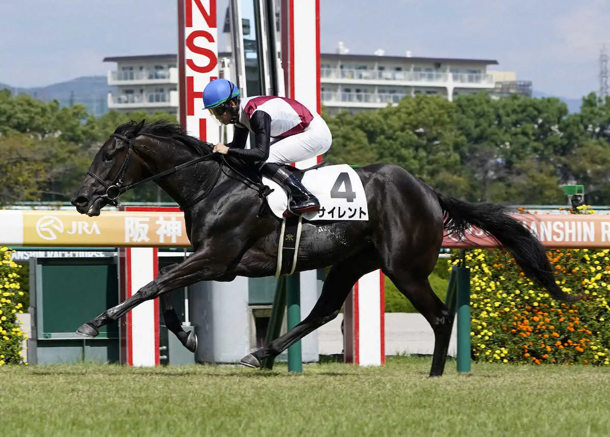 【阪神5R新馬】サイレントV　松山「強い競馬だったと思います」