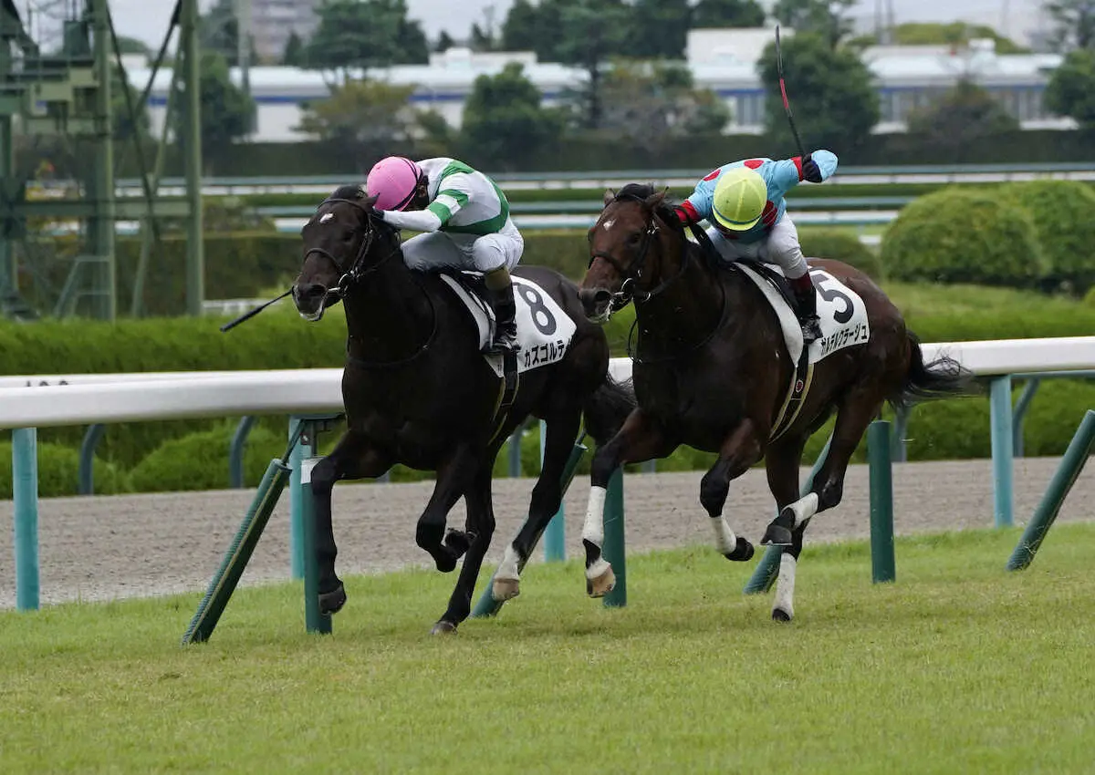【阪神5R新馬】カズゴルティスV　和田竜「将来が楽しみな馬ですね」