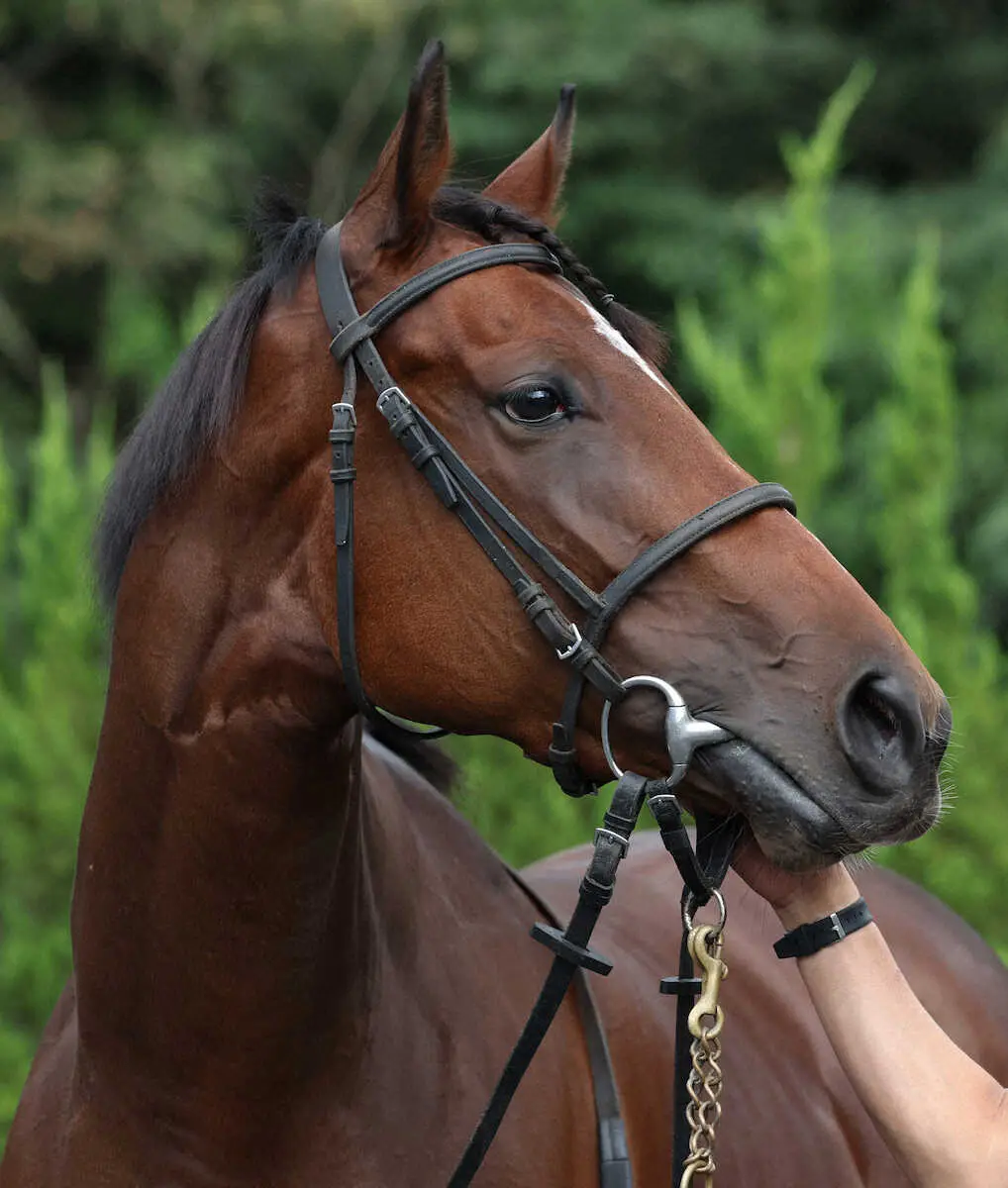 【秋華賞】（6）リバティアイランド　史上7頭目の牝馬3冠へ“最高”ゲット！陣営「いい雰囲気」