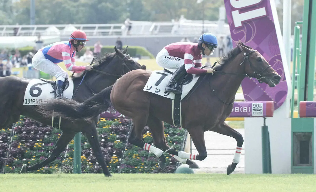 【東京新馬戦】ソンシ　スッと加速1馬身離した！川田「学びのあるレースになりました」