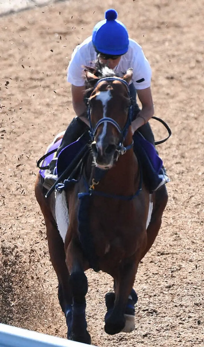【菊花賞】ソールオリエンス2冠へ絶好　23年ぶり皐月賞馬VSダービー馬