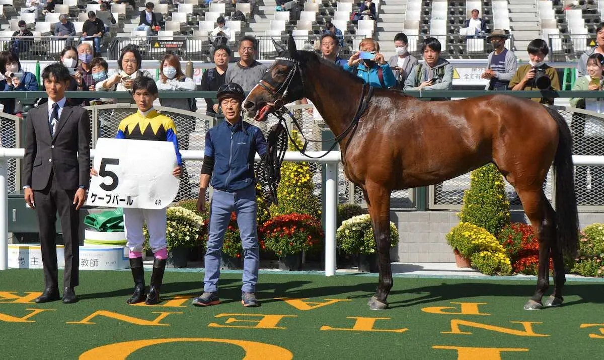 【京都4R新馬】ケーブパールV　藤岡康「直線はいい脚を使ってくれました」