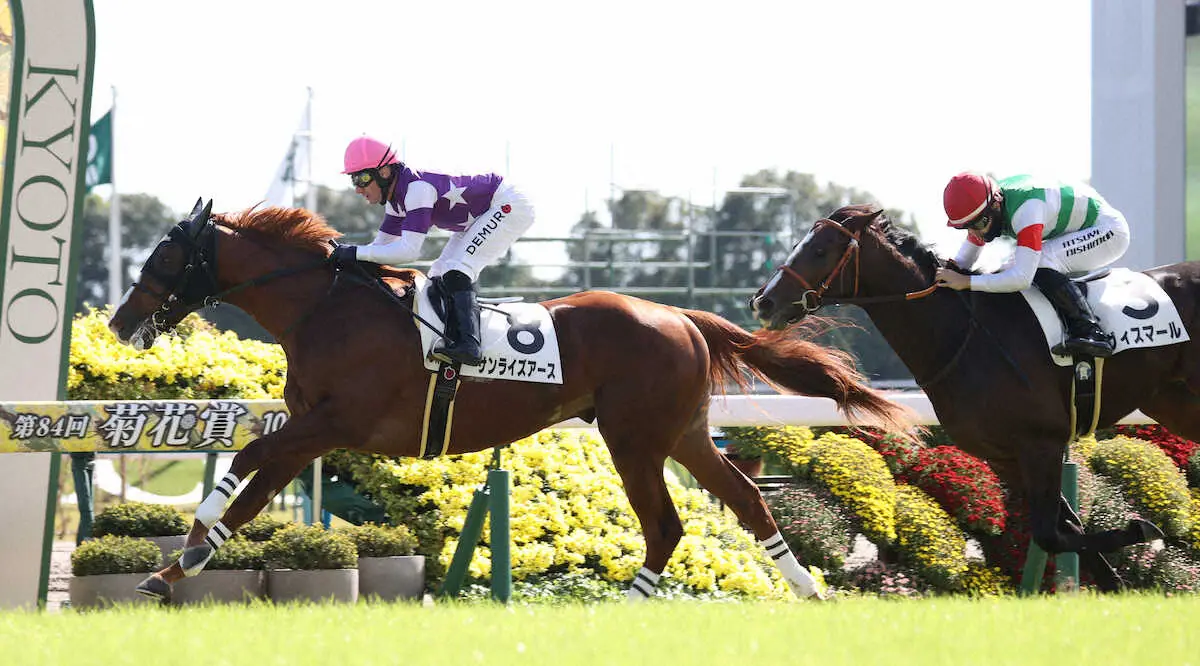 【京都5R新馬】サンライズアースV　M・デムーロ「幼いところがあるけど能力は高い」