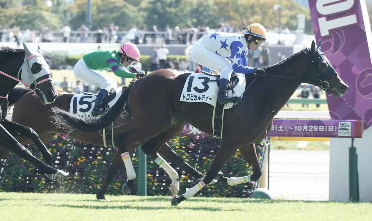 【東京5R新馬】トロピカルティー快勝　戸崎「追い切りの時から、いい動き」