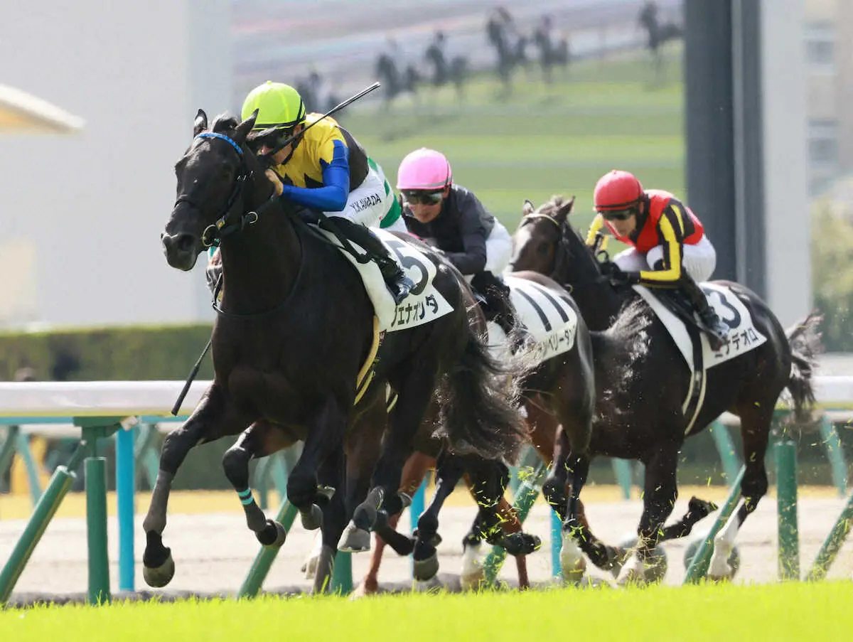 【京都新馬戦】ブエナオンダ　3F最速の脚で快勝！須貝師「とりあえず勝ててホッとした」