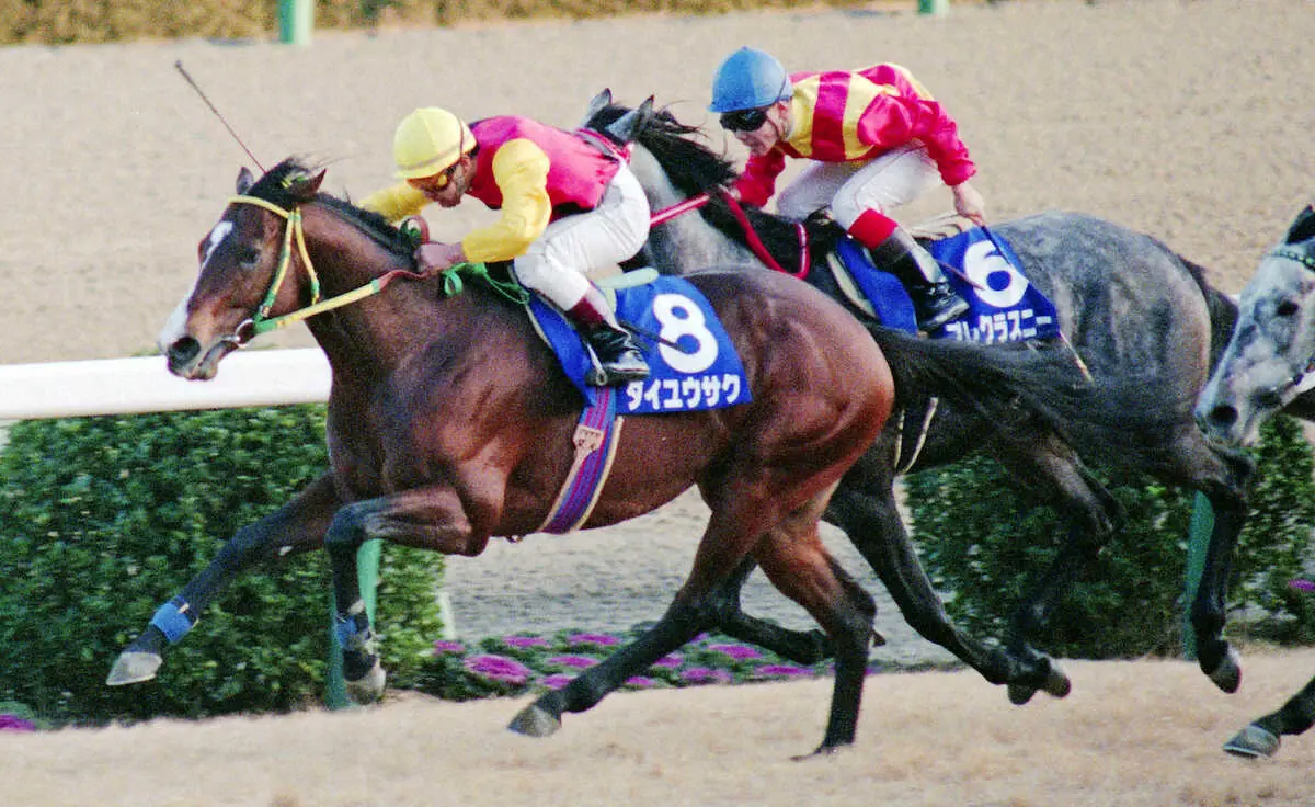 1991年有馬記念を制したダイユウサク、熊沢重文騎乗