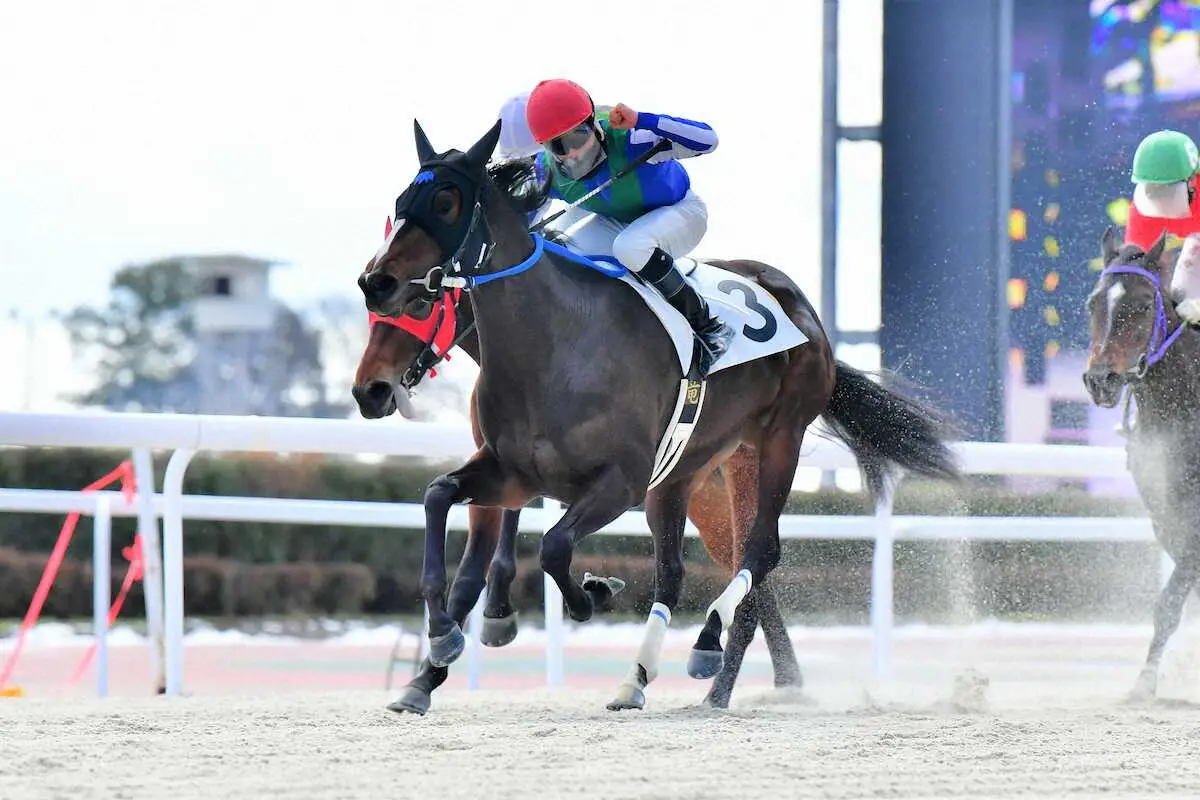 笠松競馬で初勝利を挙げたオマタセシマシタ。鞍上の渡辺竜はガッツポーズ（岐阜県地方競馬組合提供）