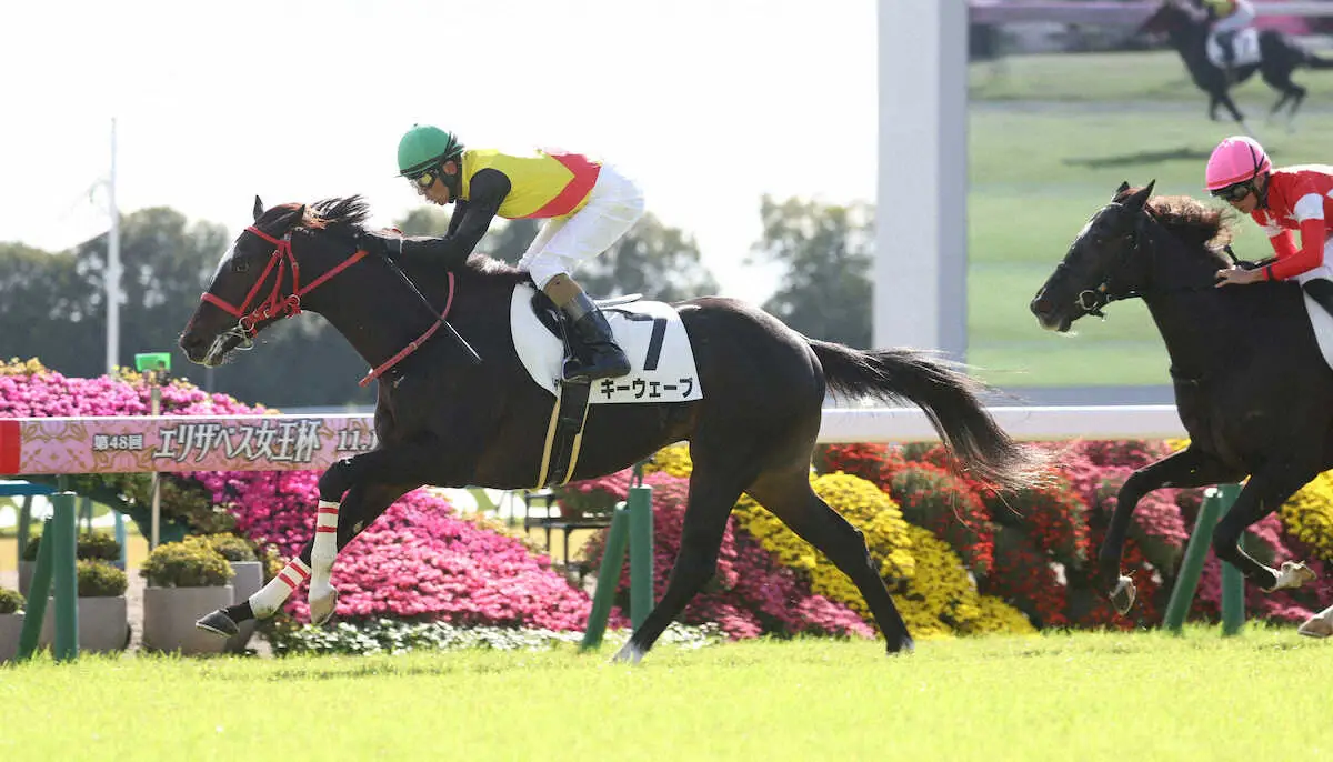 【京都4R新馬】キーウェーブV　和田竜「競馬をよく分かっている」