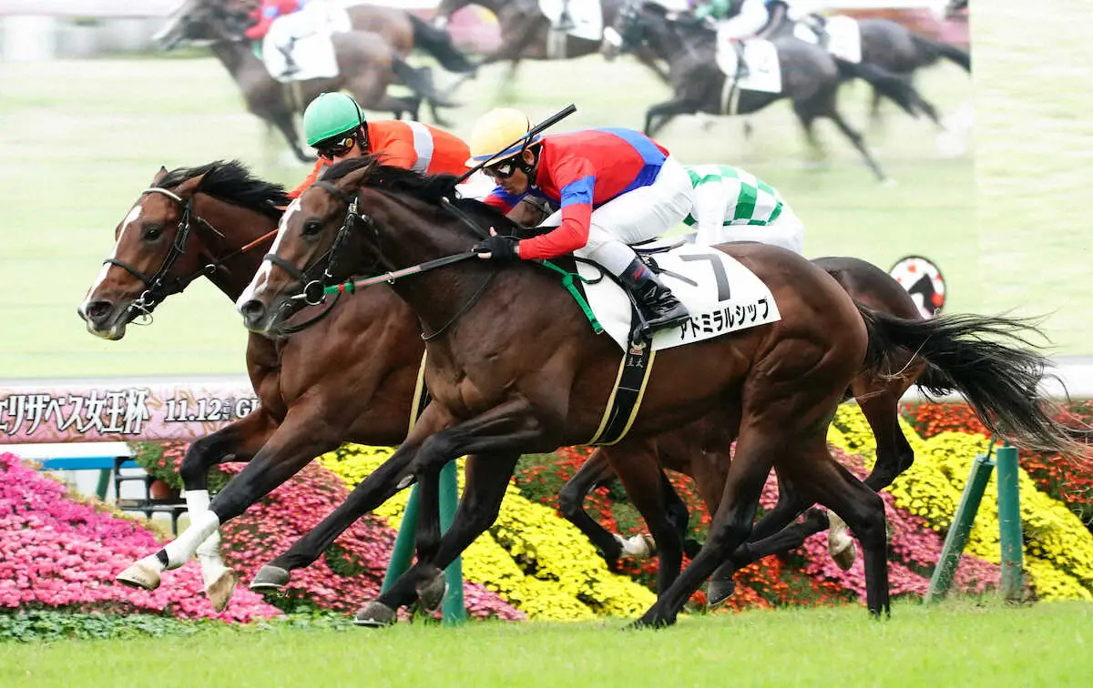 【京都5R新馬】アドミラルシップV　エリザベス女王杯出走の半姉ライラックにエール星