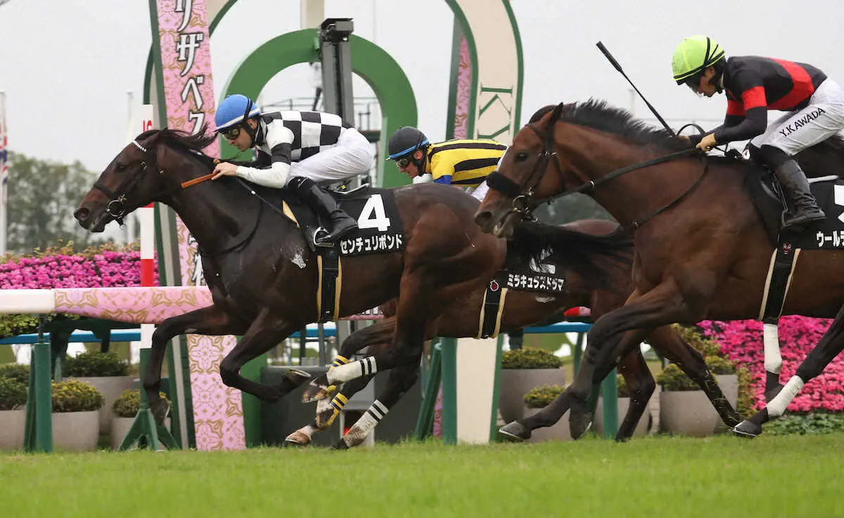 京都9R・黄菊賞、後続を振り切り勝利するセンチュリボンド（左）