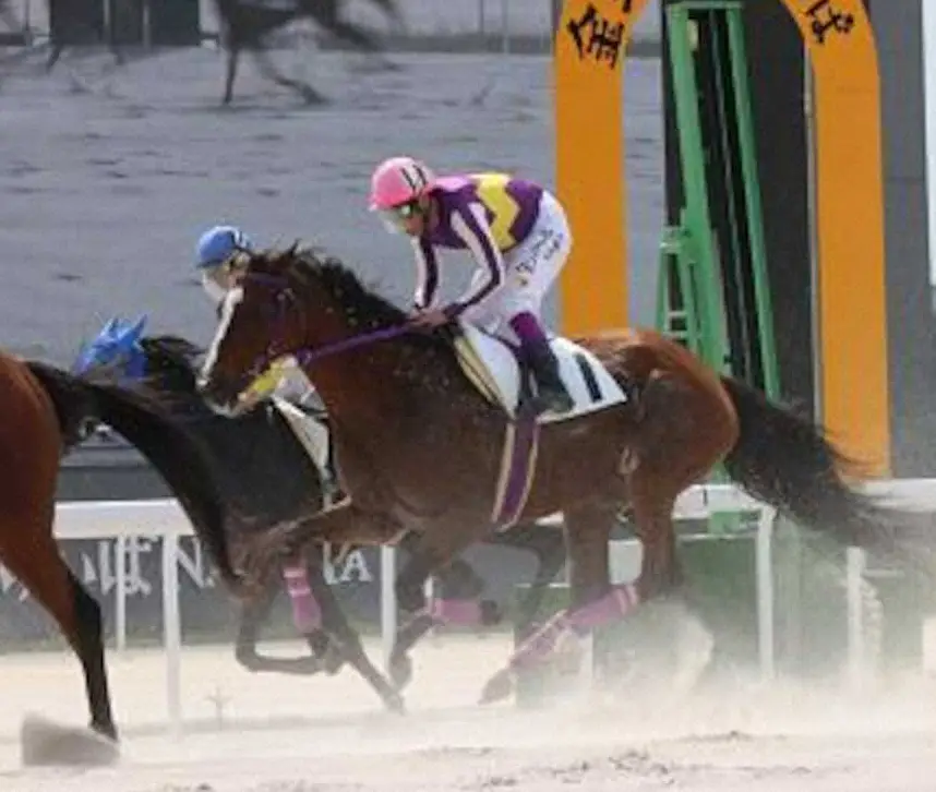 日本最高齢の現役競走馬ヒカルアヤノヒメ死す　19歳、心不全で　同期にウオッカなど