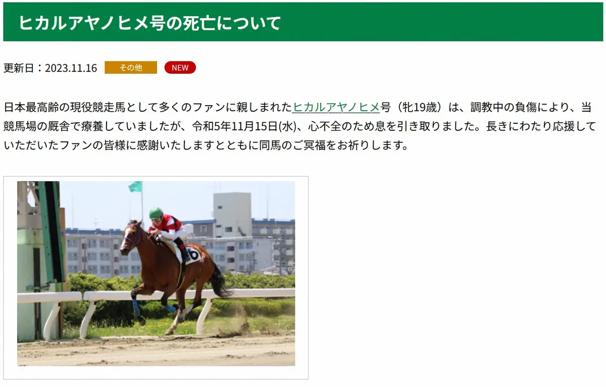 最高齢競走馬ヒカルアヤノヒメ19歳死去、トレンド1位　ネット「長い間ありがとう」「悲しい」