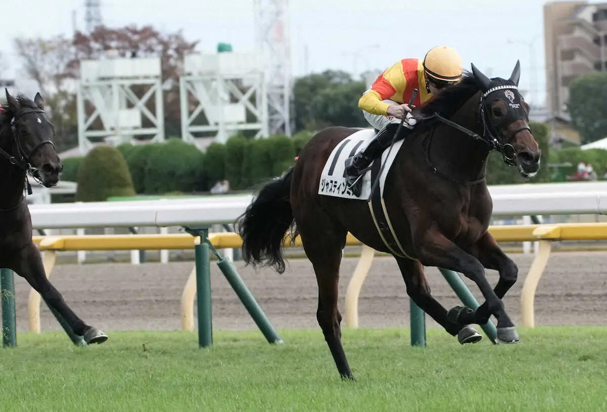 【東京5R新馬】ジャスティンミラノV　マーカンド「ラスト500メートルは力強い動き」