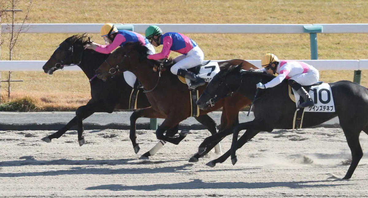 【京都6R新馬】メイショウヤーキスV　横山和「うまく競馬をしてくれた」
