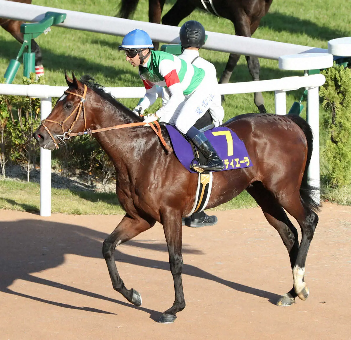 タスティエーラが有馬参戦　古馬と初対戦