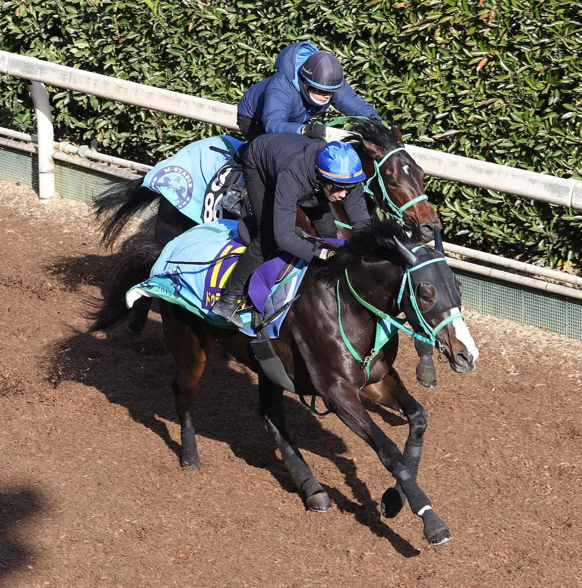 【チャンピオンズC】ドゥラエレーデ　坂路で併せ馬に楽々先着、ムルザバエフ「状態の良さを感じた」