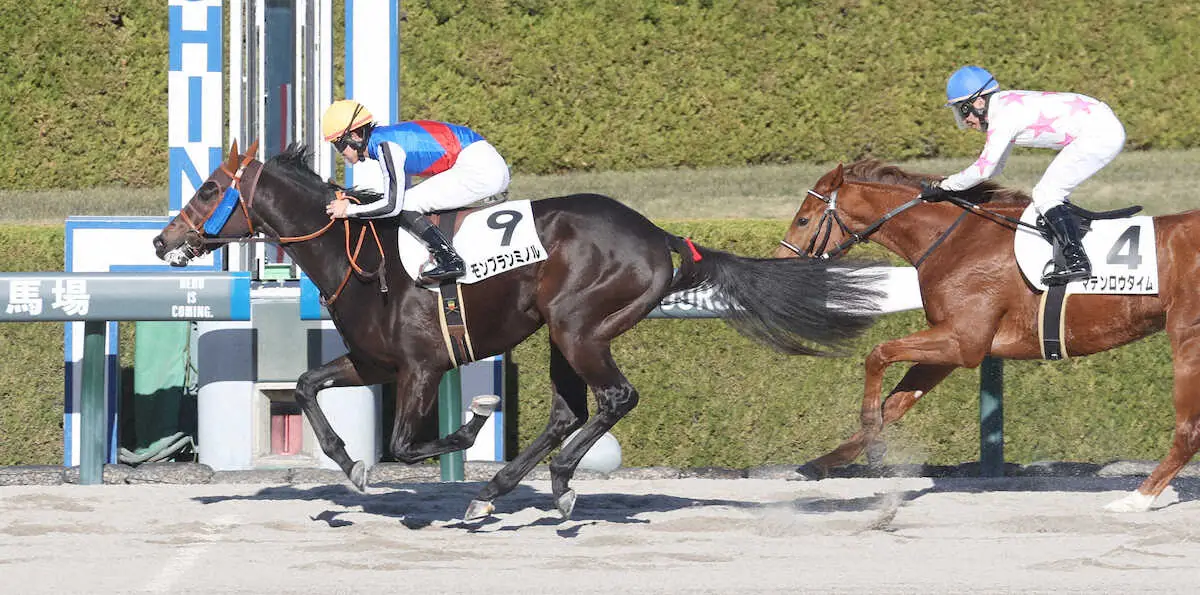 【阪神6R新馬】キズナ産駒モンブランミノルV　松山「強い競馬をしてくれた」
