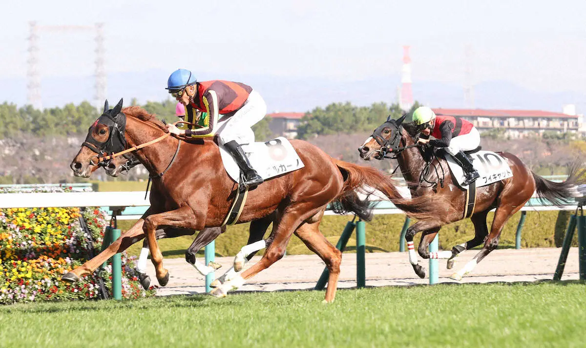 ＜阪神4R＞新馬戦を快勝するチルカーノ（左）（撮影・平嶋　理子）