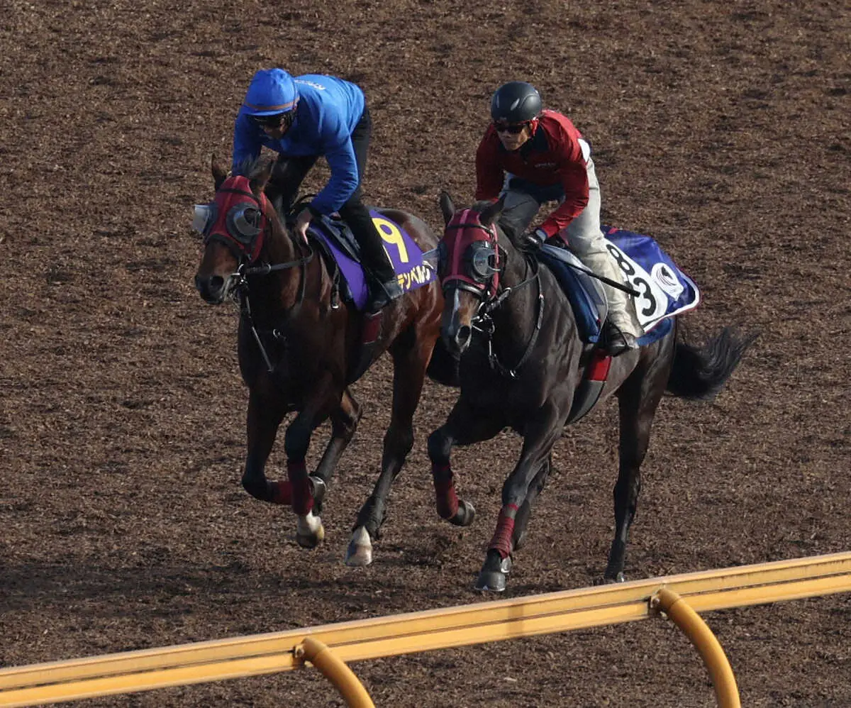 CWコースにて併せ馬で追い切ったミルテンベルク（左）（撮影・亀井直樹）