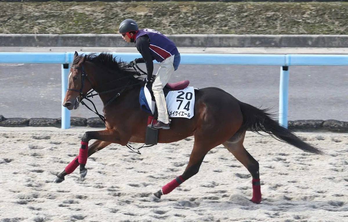 BCフィリー＆メアスプリント9着のメイケイエールは京都牝馬Sから高松宮記念へ