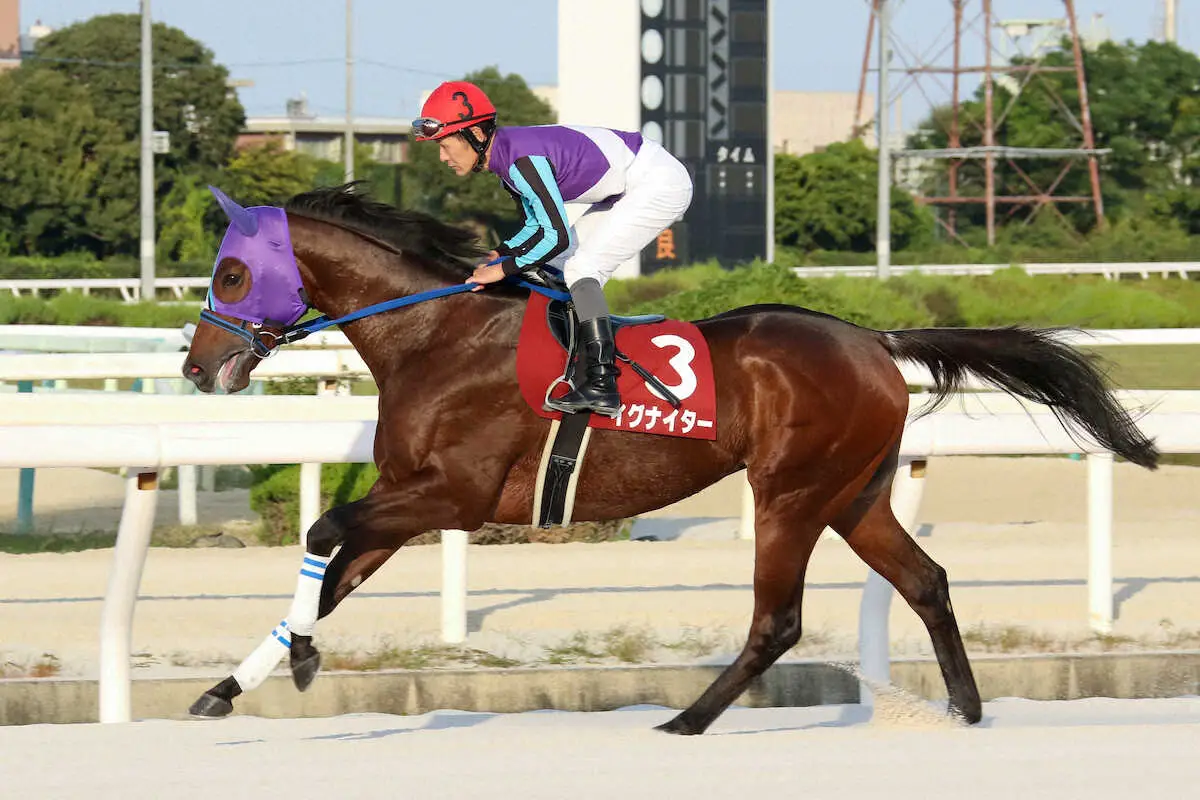 イグナイター、2年連続で年度代表馬に　兵庫県競馬令和5年優秀競走馬発表