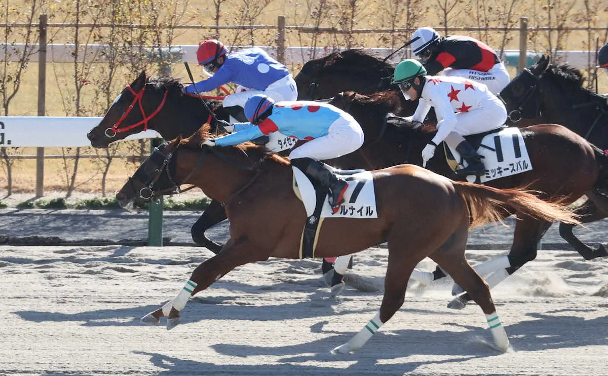 【京都3R新馬】タイセイミニスターV　田口「2番手でスムーズに競馬ができました」