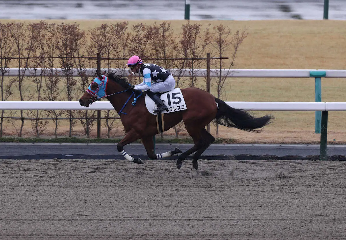 【京都3R新馬】ネグレスコV　ルメートル「いい走りができました」