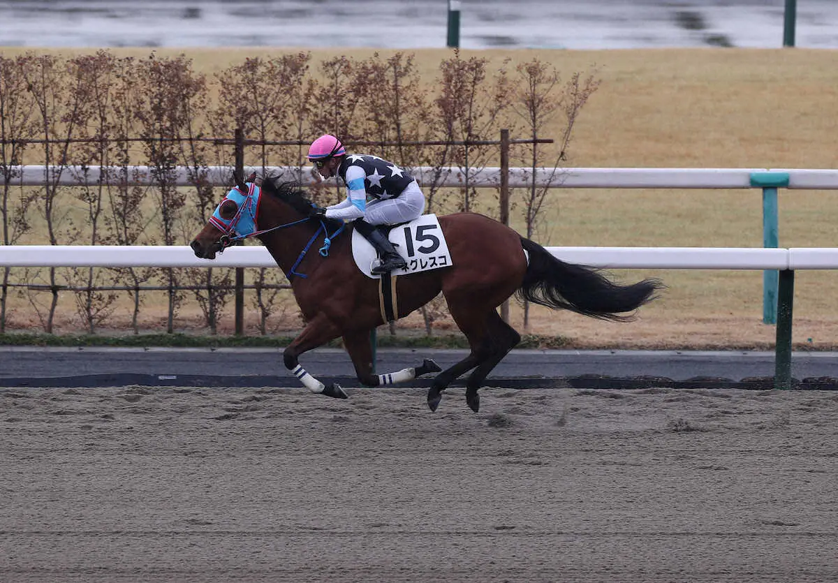 【京都新馬戦】ネグレスコ　抜群の手応えで3馬身差V！ルメートル「いい走りができた」