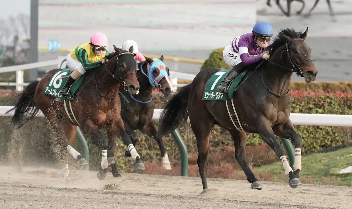【根岸S】エンペラーワケア重賞初挑戦でV　川田「本当に素晴らしい馬です」