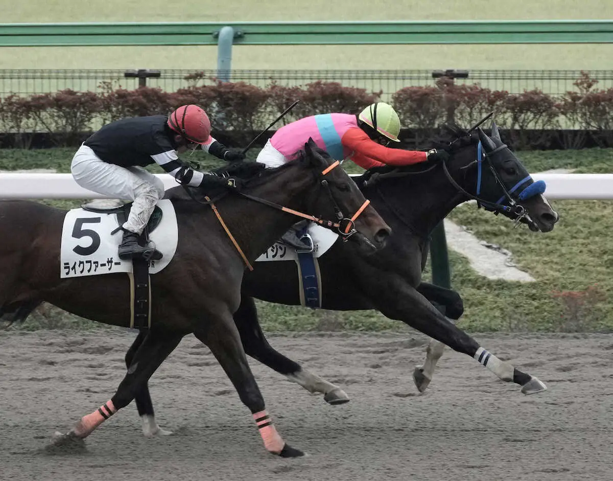 【東京3R新馬】1番人気キタノライジンV　尾関師「いかにもダート馬といった感じ」