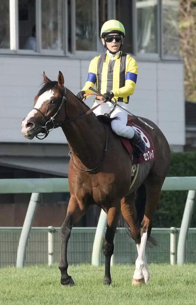 【カタールG3　アミールトロフィー】日本馬はゼッフィーロが最先着2着をはじめ上位入線