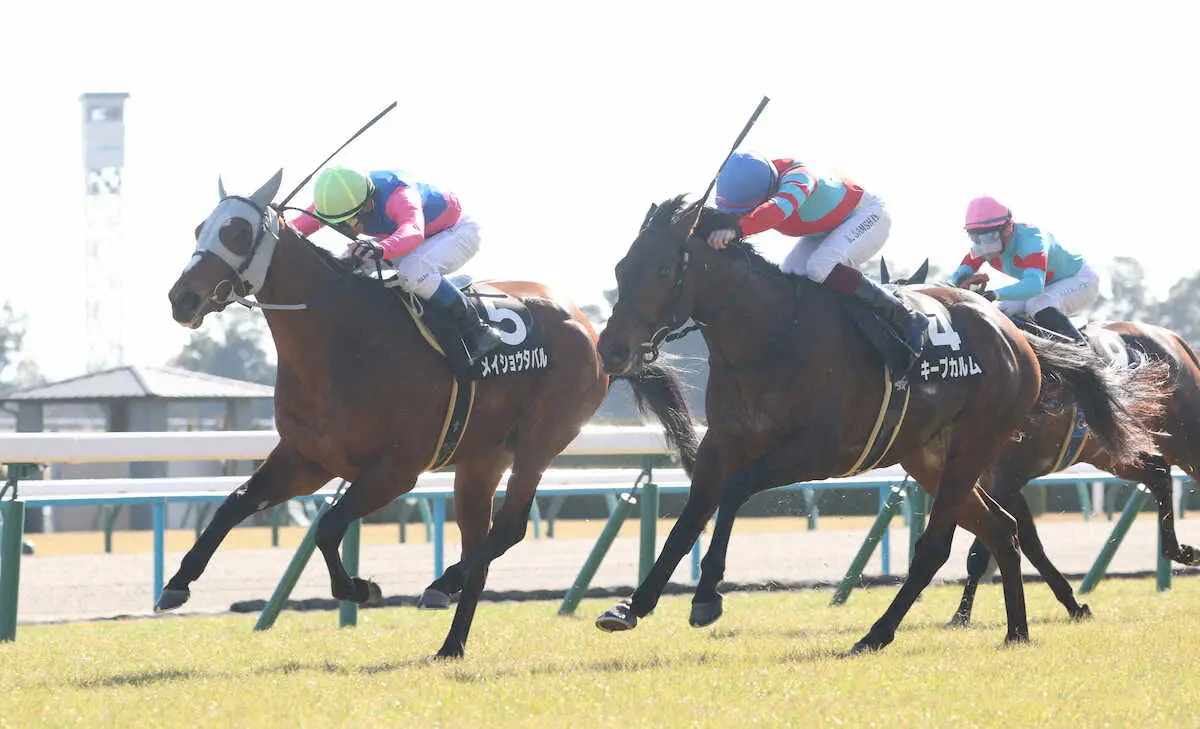 【つばき賞】メイショウタバル　しぶとく粘った！浜中「勝ち切ったのはこの馬のポテンシャル」