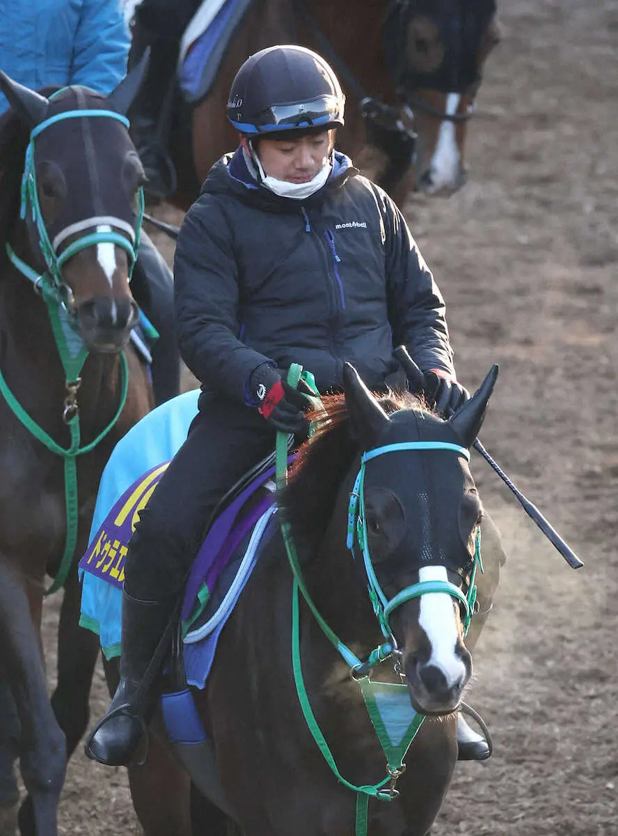 【フェブラリーS】（4）ドゥラエレーデ　いつも通り順調、陣営「乗り役にお任せ」