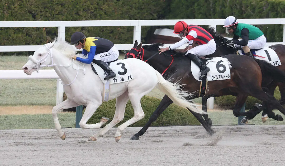 【阪神2R】ソダシやママコチャの半弟　白毛馬カルパV　川田「しっかり勝ってくれました」