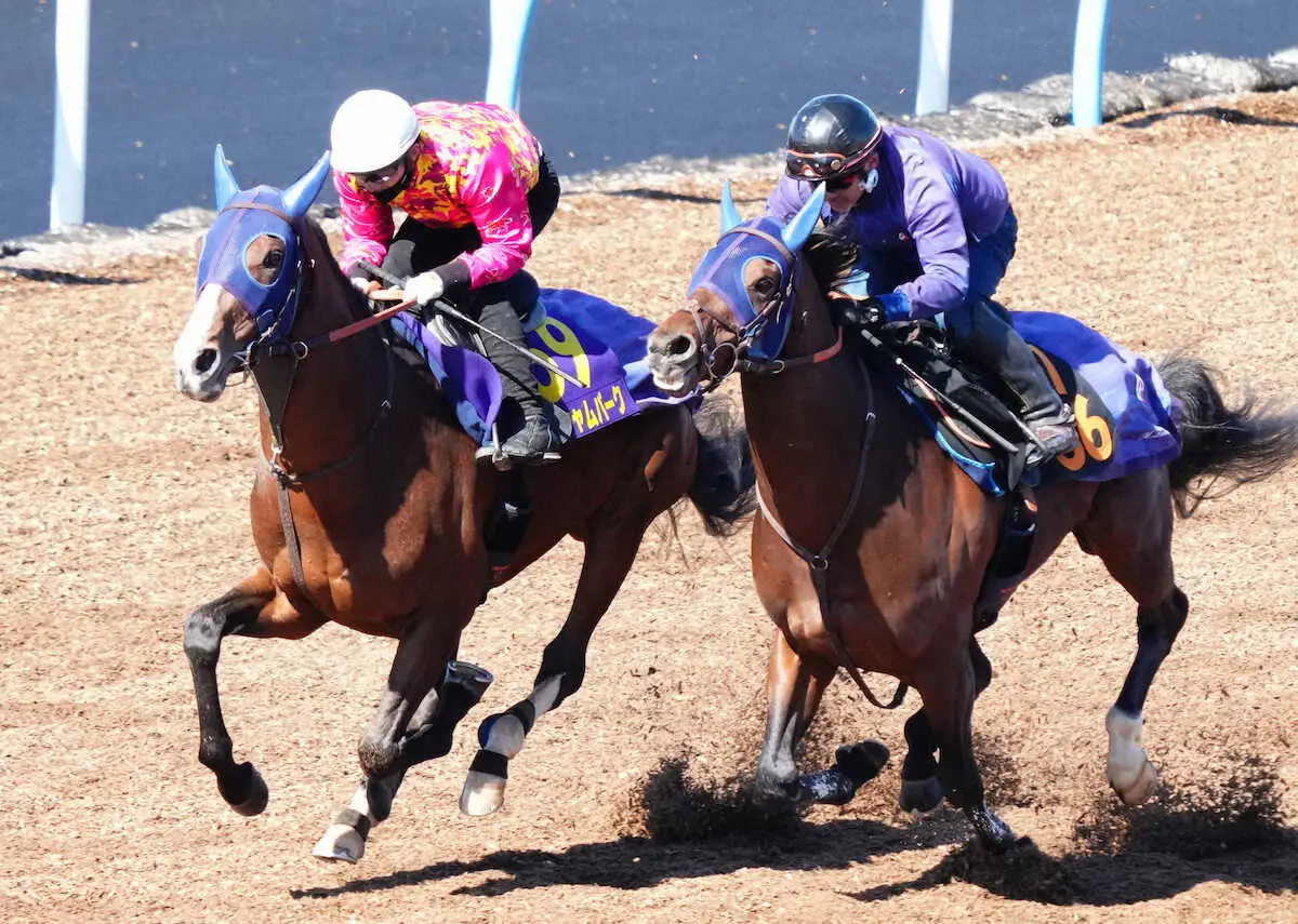 【大阪杯】ローシャムパーク　タメ利いた走り、田中博師「大きな舞台で勝ち負けできる馬」